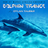 DolphinTrance2vsm
