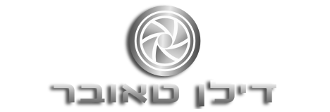 DTlogoHeb2